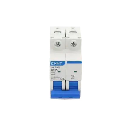 Pastilla para Riel Din 2 Polos 10 Amp Vca:110 415v 6kA Catálogo: NXB632PC10 Serie: NXB 63.
