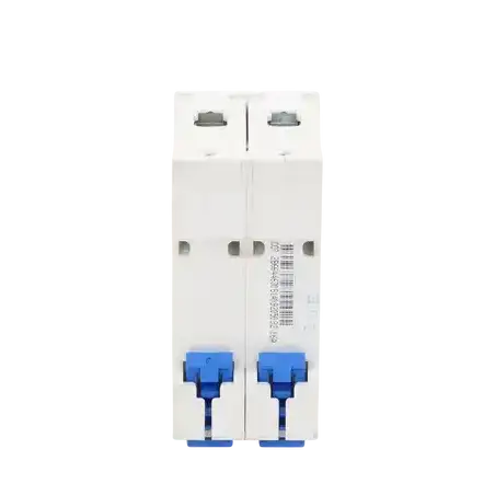 Pastilla para Riel Din 2 Polos 16 Amp Vca:110 415v 6kA Catálogo: NXB632PC16 Serie: NXB 63.
