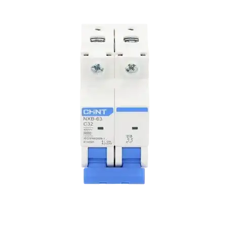Pastilla para Riel Din 2 Polos 32 Amp Vca:110 415v 6kA Catálogo: NXB632PC32 Serie: NXB 63.