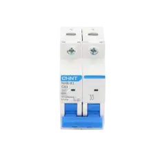 Pastilla para Riel Din 2 Polo 63 Amp Vca:110 415v 6kA Catálogo: NXB632PC63 Serie: NXB 63.