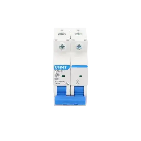 Pastilla para Riel Din 2 Polo 63 Amp Vca:110 415v 6kA Catálogo: NXB632PC63 Serie: NXB 63.