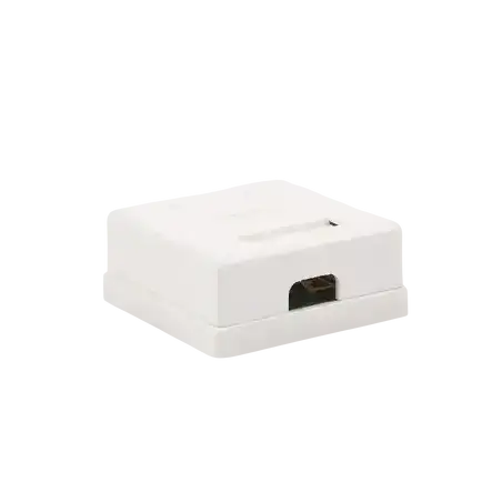 Caja de pared con 2 puertos incluye 2 jacks UTP Cat5e Keystone