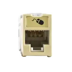 Módulo de tapa ciega (Inserto Ciego) de 1 3 Color Blanco Mate 1 Pieza|PANDUIT|Jacks Plugs|Tecnolobit Shop