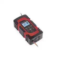 Cargador de Baterías   12 o 24 Vcc   hasta 40 Ah   2 4 o 6 A   Display LCD