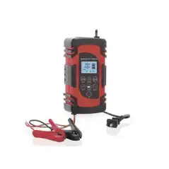 Cargador de Baterías   12 o 24 Vcc   hasta 40 Ah   2 4 o 6 A   Display LCD