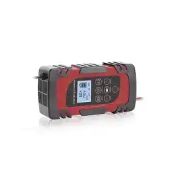 Cargador de Baterías   12 o 24 Vcc   hasta 40 Ah   2 4 o 6 A   Display LCD